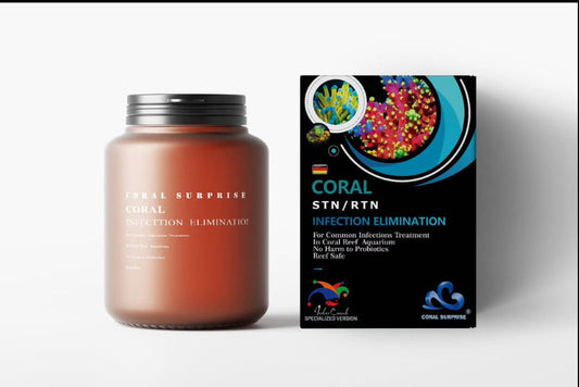 CORAL INFECTION ELIMINATION-Ocean King Corals