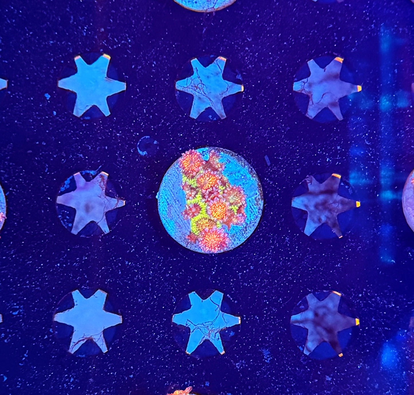 OKC phantom glitter