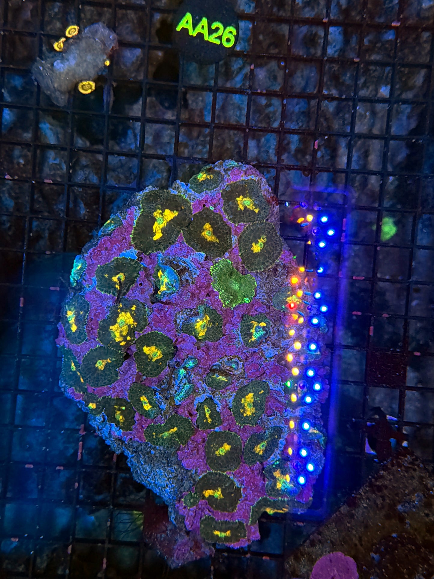Mushroom Rock