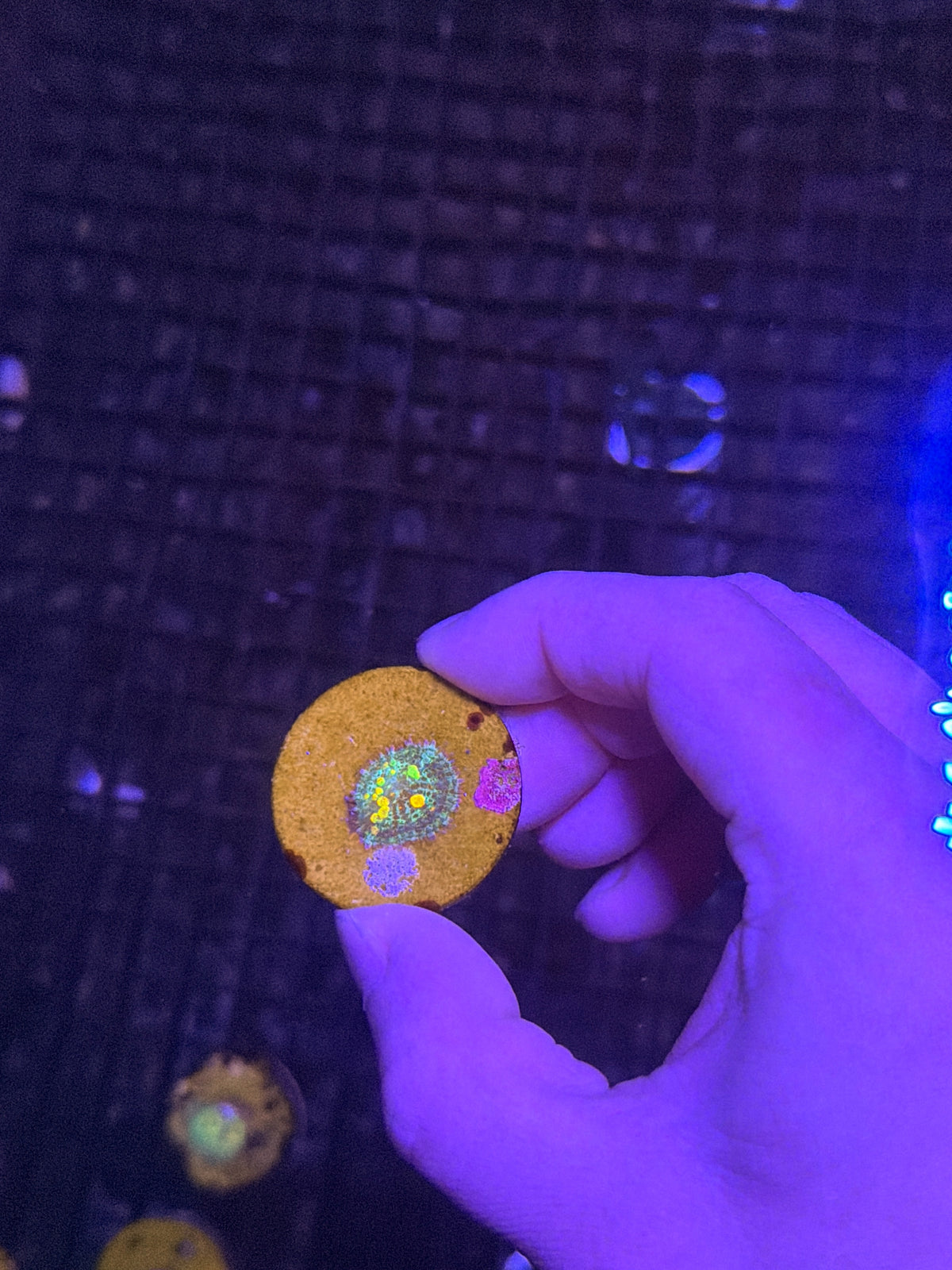Og Bounce