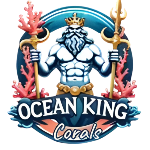 Ocean King Corals